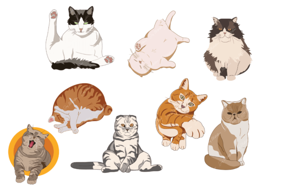 Charming Cat Portraits: Your Versatile Clipart Bundle